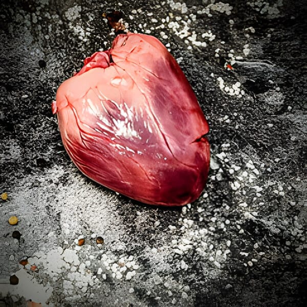 S Herz – frisch vom Metzger